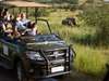 Ivory Tree Game Lodge - Game Drive 